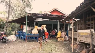 keba(7 bulanan/Mithoni)tradisi anak putu dalem banokeling//Pekuncen//jatilawang