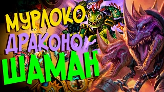 Hearthstone - Интересная колода Мурлоко-Драконо Шаман от Киблера (КД#31)