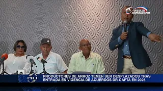 Productores de arroz temen ser desplazados tras entrada en vigencia de acuerdos DR-Cafta en 2025