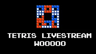 Tetris World Champion Goes for the Perfect Game