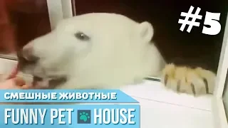 СМЕШНЫЕ ЖИВОТНЫЕ И ПИТОМЦЫ #4 СЕНТЯБРЬ 2018 [Funny Pet House] Смешные животные