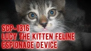 SCP-1316 - Lucy the Kitten Feline Espionage Device - Euclid [The SCP Foundation]