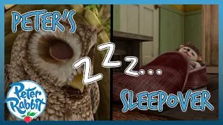 @OfficialPeterRabbit - 😴💤 Peter Rabbit's SLEEPOVER 💤😴 | SLEEPOVER DAY 😴 | Cartoons for Kids