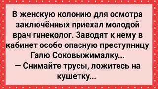 Галя Соковыжималка в Женской Колонии! Сборник Веселых Анекдотов! Юмор!