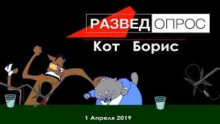 Разведопрос: КОТ БОРИС (Анимация)