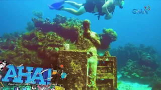 Mga underwater attraction, bisitahin! | AHA!