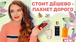 БЮДЖЕТНЫЕ АРОМАТЫ С ДОРОГИМ ЗВУЧАНИЕМ