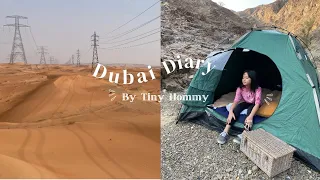 Dubai Vlog | Winter | Camping | Jebel Jais