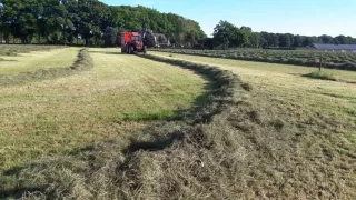 Grasrapen in de 90er jaren