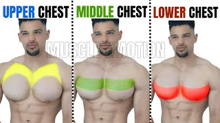 TOP 5 MIDDLE ,LOWER AND UPPER CHEST WORKOUT AT GYM / Meilleurs exs Musculation poitrine .