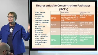 Kristie Ebi Talk "Implications of future development pathways for the risks of climate change