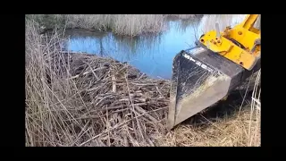 BEAVER DAM REMOVAL