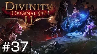 DIVINITY: ORIGINAL SIN 2 | #37 | Ich habe absolut keine Ahnung wie man da weiterkommt