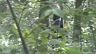 Bigfoot The Documentary