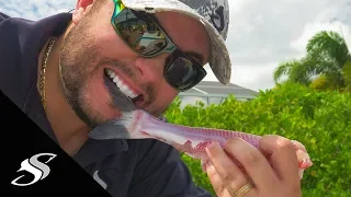 How to Catch and Cook SALTWATER CATFISH - Taste Test!