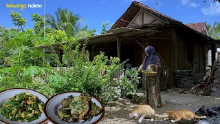 orak arik telur kacang panjang, bakwan terong bayam hasil petik dari kebun, masakan desa