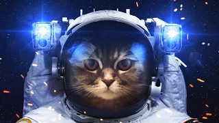 Progressive Psytrance ॐ Psychedelic SPACE CAT Mix 2022