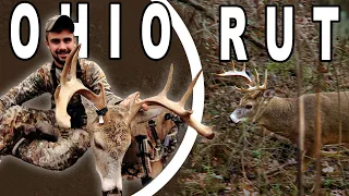 Deer Hunting Ohio In The Rut | Funnels for Big Bucks