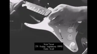 John Frusciante - Scar Tissue (Final Solo) (TFI Friday 1999)