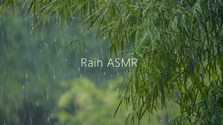 Sleep Music Relaxing - 1 Hour Rain Background Music, Bamboo, Nature, Forest, Stress Relief, Meditate