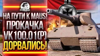 НА ПУТИ К MAUS! ПРОКАЧКА VK100.01(P) - ДОРВАЛИСЬ!