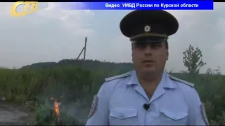 ЖЕЛЕЗНОГОРСКАЯ ПОЛИЦИЯ УНИЧТОЖИЛА КУСТЫ  КОНОПЛИ