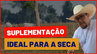 Como manter o GADO GORDO no período da seca