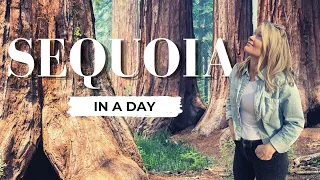 Alone... in Sequoia National Park & 5 RV Scenic Drives