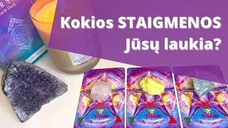 #Taro / Kokios staigmenos Jūsų laukia?