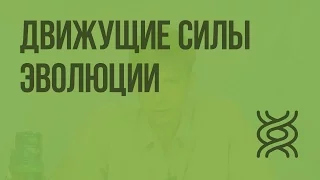 Движущие силы эволюции: наследственная изменчивость и естественный отбор. Видеоурок по биологии 11