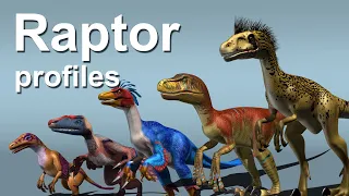 Raptor profiles