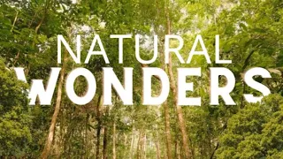 Untold: Greatest Natural Wonders Around the World - Uncut Documentary in 4K🌲