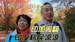 中国移民的机会来了，印加闹翻，印度移民彻底凉凉