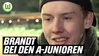 Von der VfL-Jugend zum Champions League-Finalisten | Julian Brandt