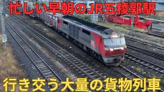 【総集編】早朝のJR五稜郭駅を行き交う大量の貨物列車