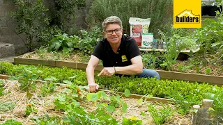 Tanya Visser Shows You How To Grow Healthy Veg The Natural Way