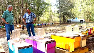 Florida Beekeepers Part 10: Ray Latner, segment #2 of 2