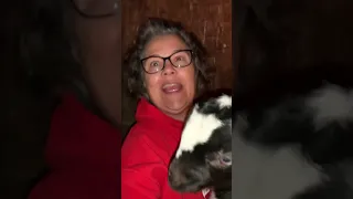 Goat Therapy