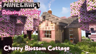 Minecraft Longplay | Cherry Blossom Cottage and Garden (no commentary) 1.20