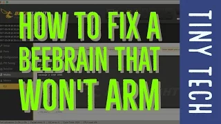 Tiny Tech - How to Fix a BeeBrain That Won't Arm