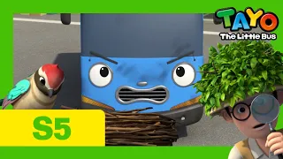 Tayo Español la Serie 5 l #7 El amigo pájaro de Tayo l Tayo El Pequeño Autobús