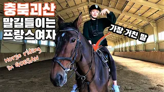 A horse that understands French!!?/ A French woman who trains a tough horse in Korea