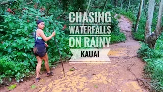 Rainy Jungle Hike on Kauai - KAUAI DAY 2