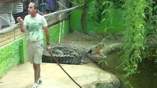 Crocodile Park Torremolinos 01