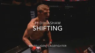 TJ Dillashaw: Footwork (Shifting)