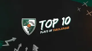 TOP-10 Zalgiris moments from the first part of 2018-2019 EuroLeague season