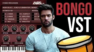 Free Ethnic Bongo Drum Sounds | Audio Animals VSTi Review