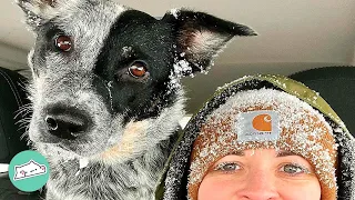 Girl Barely Went Outside Until She Met This Dog | Cuddle Dogs