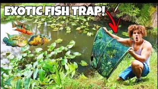 Catching EXOTIC Aquarium FISH!