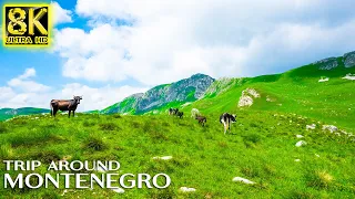 Beautiful Trip to Montenegro in 8K ULTRA HD 60fps - Amazing Europe Nature Sounds with Relaxing Music
